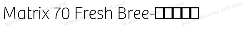 Matrix 70 Fresh Bree字体转换